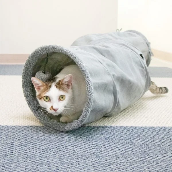Tplaza+ > Pet Accessories