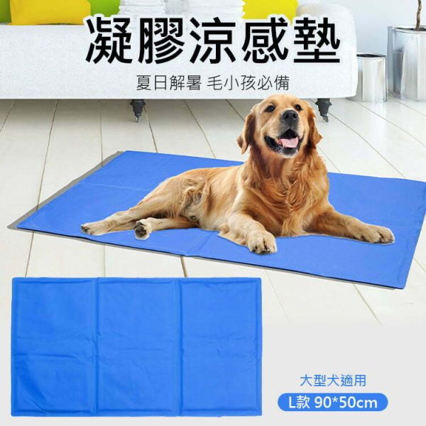 Tplaza+ > Pet Accessories