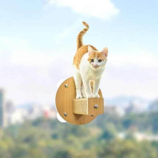 Tplaza+ > Pet Accessories