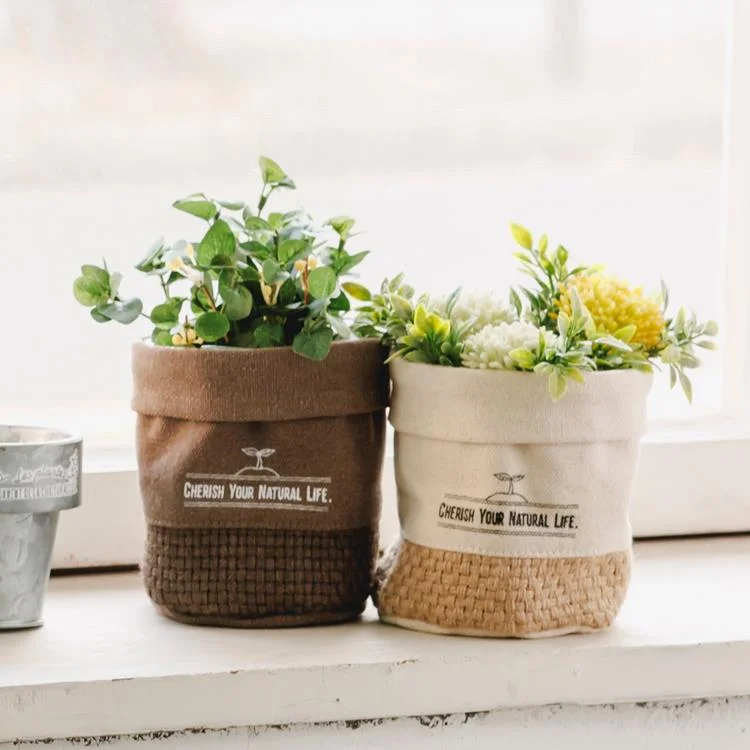 Tplaza+ > Household > Homeware