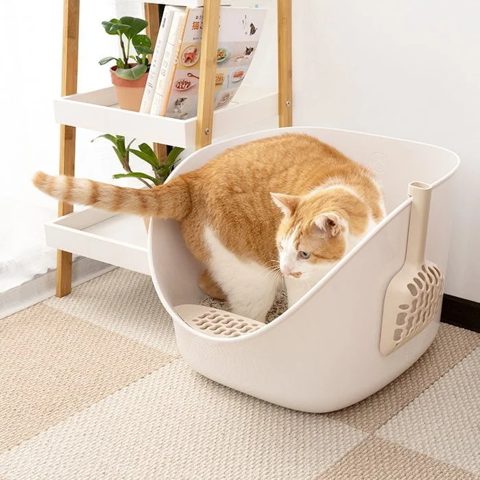 Tplaza+ > Pet Accessories