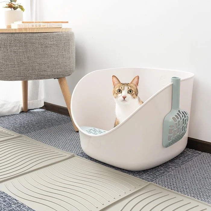 Tplaza+ > Pet Accessories
