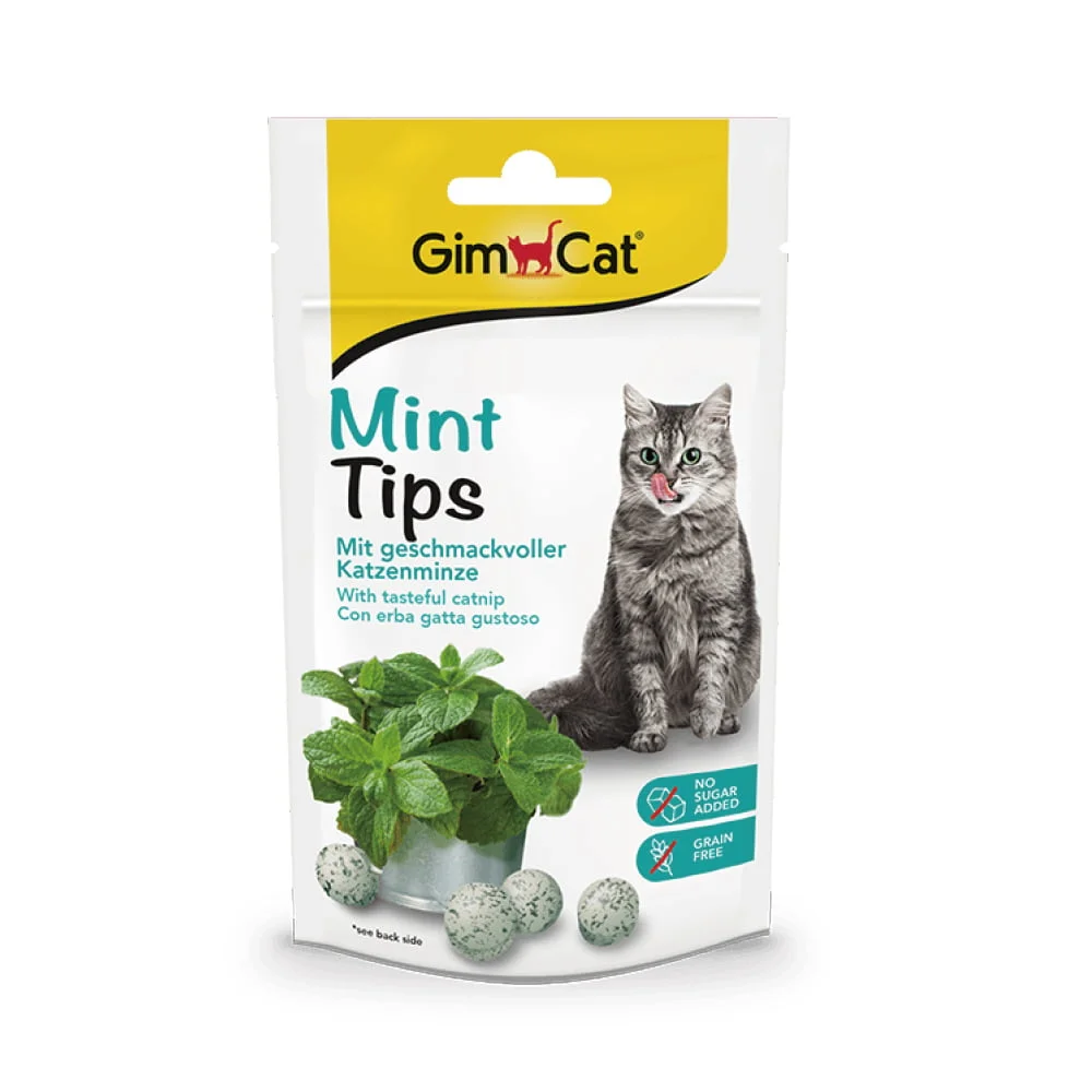 Tplaza+ > Pet Accessories