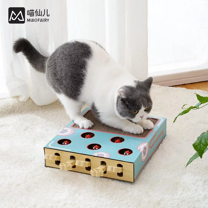 Tplaza+ > Pet Accessories