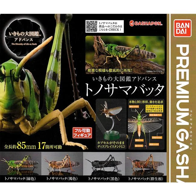Tplaza+ > Toy & Game > Figure & Playset