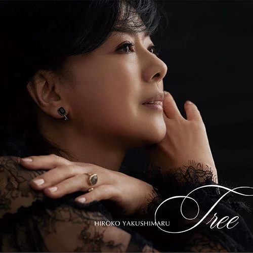 Tplaza+ > CD > J POP