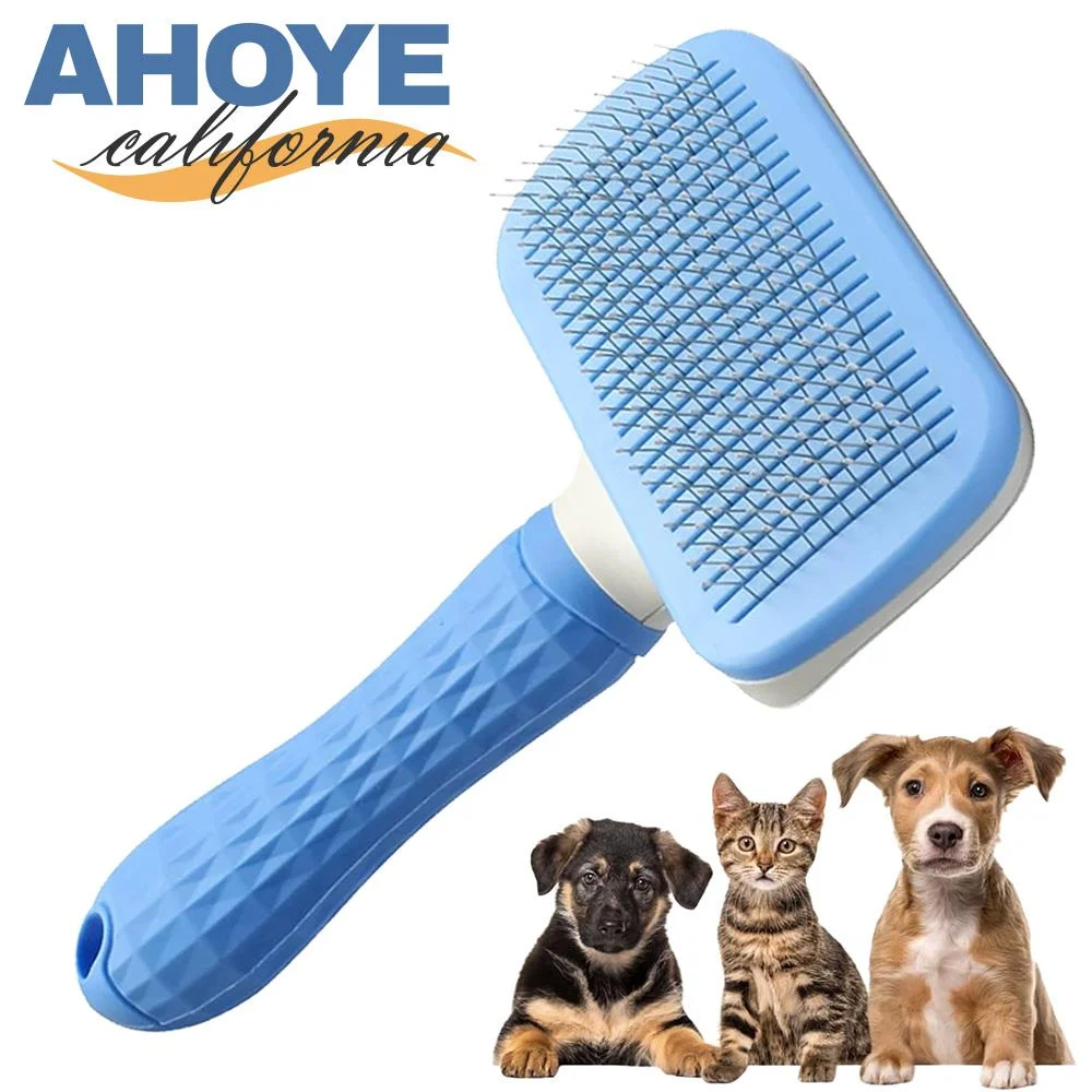 Tplaza+ > Pet Accessories