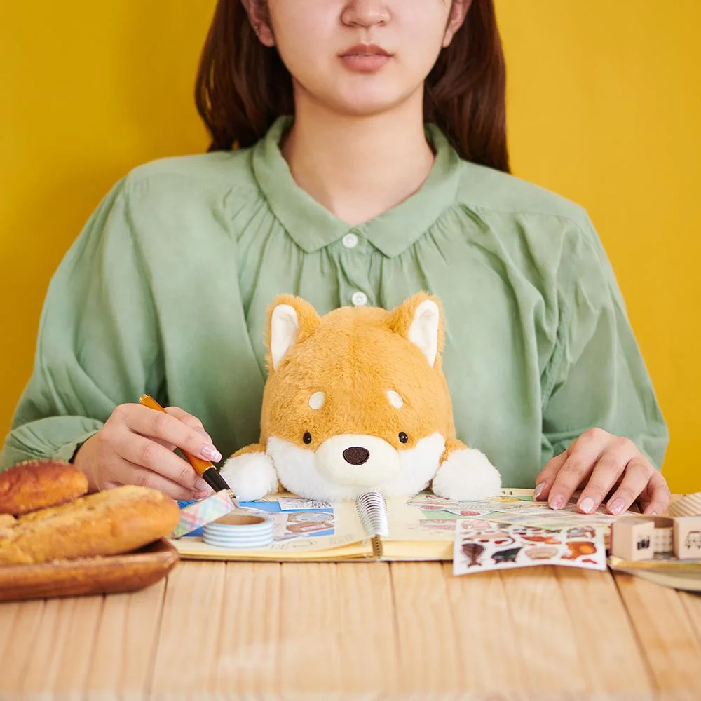 Tplaza+ > Toy & Game > Figure & Playset