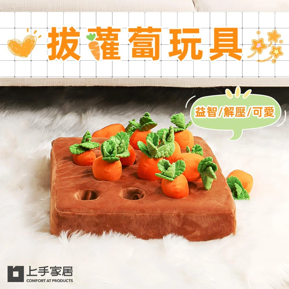 Tplaza+ > Pet Accessories