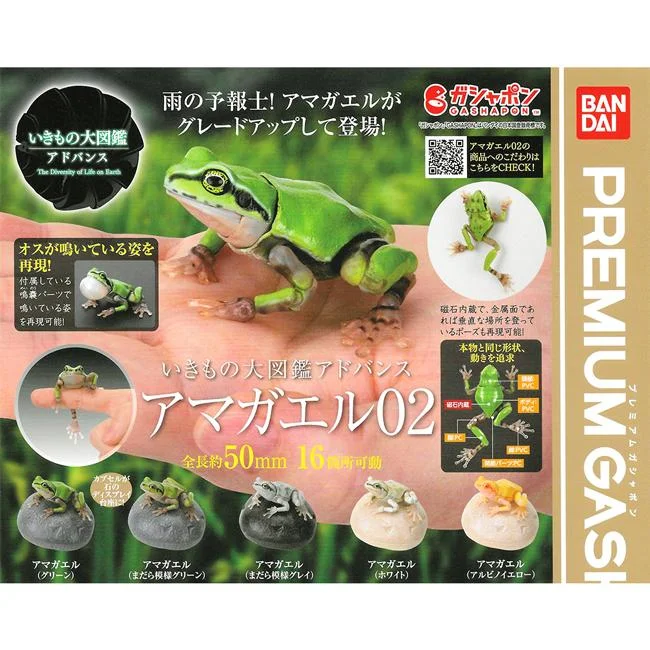 Tplaza+ > Toy & Game > Figure & Playset