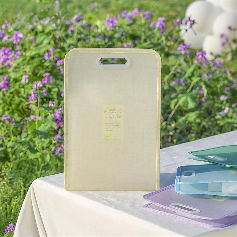 Tplaza+ > Stationery > Stationery Accessory