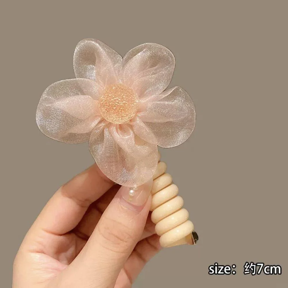 Tplaza+ > Fashion Accessory