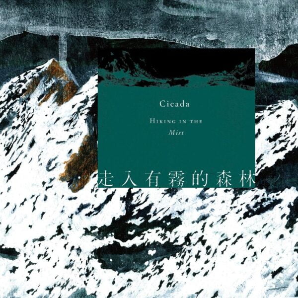 Tplaza+ > CD > Special