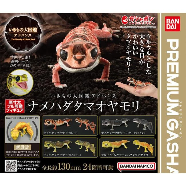 Tplaza+ > Toy & Game > Figure & Playset