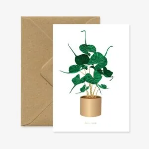 Tplaza+ > Stationery > Paper Products