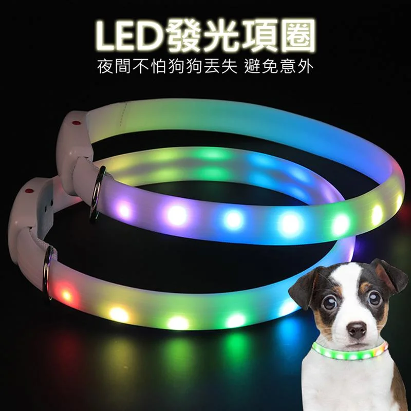 Tplaza+ > Pet Accessories