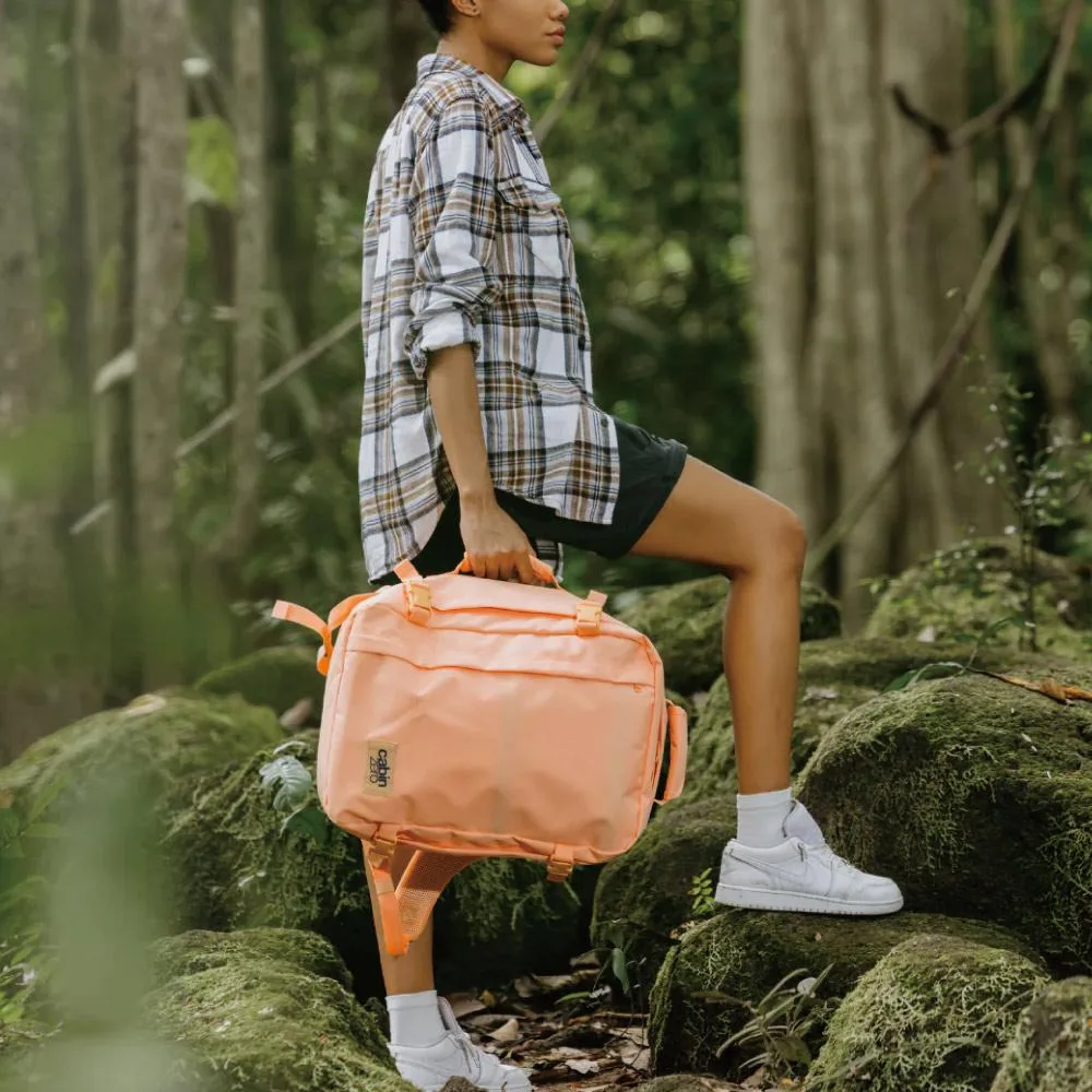 Tplaza.net > bag