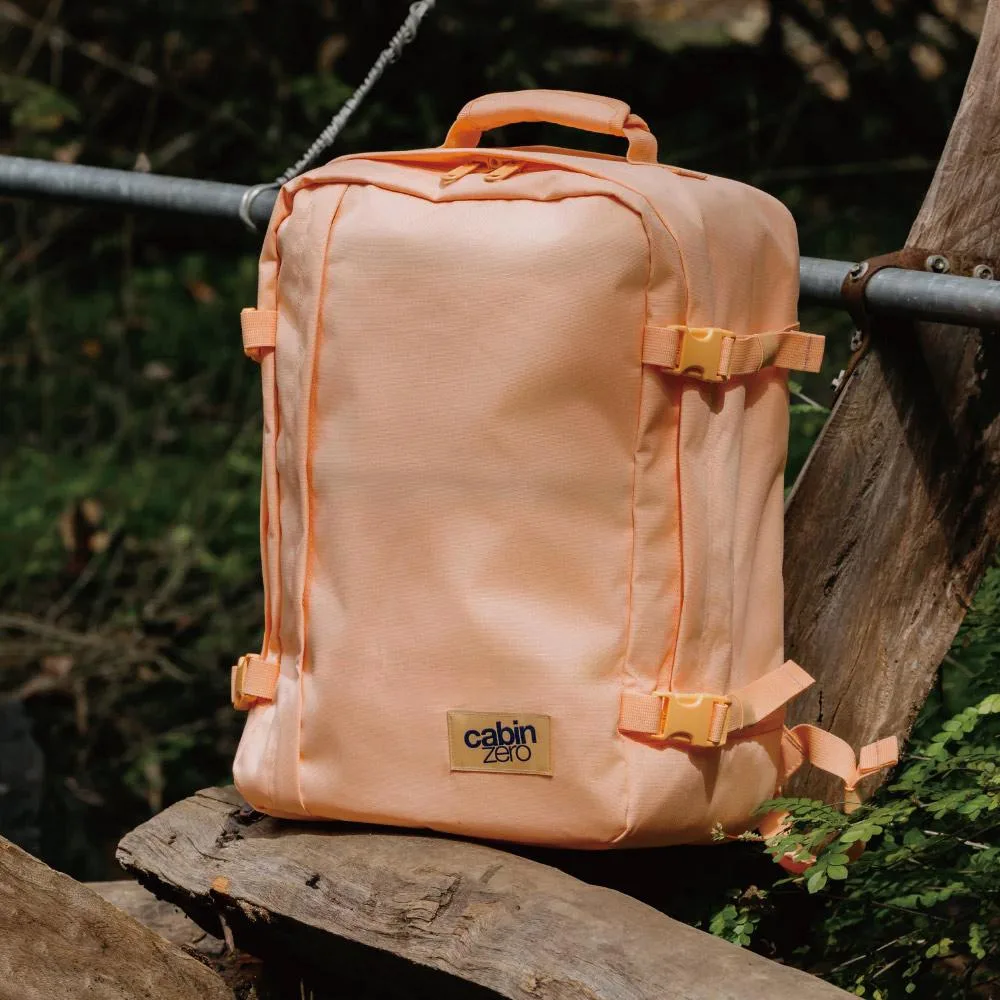 Tplaza.net > bag
