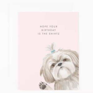【 Dear Hancock 】Shih Tzu Birthday 生日卡 #gc_795