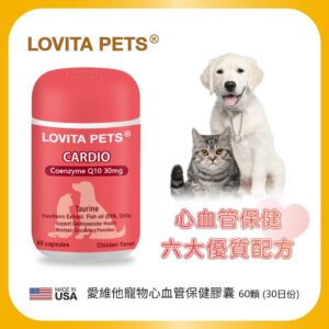 Tplaza.net > Pet Accessory