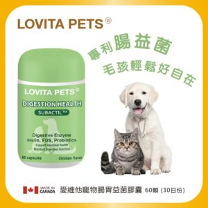 Tplaza.net > Pet Accessory