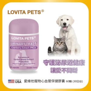 Tplaza.net > Pet Accessory