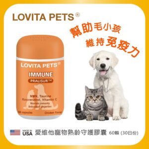 Tplaza.net > Pet Accessory