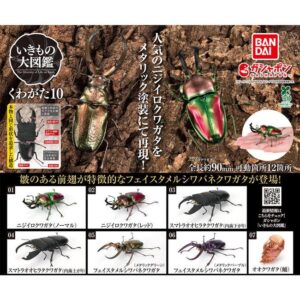 Tplaza.net > Figure Playset